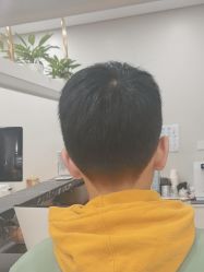 -YESIDO椰岛造型