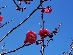 -杭州六谷生态休闲农庄有限公司