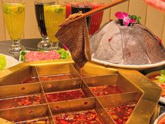 -蜀九香火锅(彩虹店)