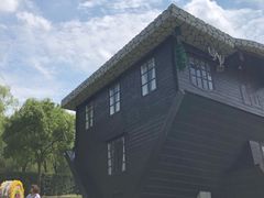 -金山农民画村-枫泾波兰倒置屋