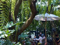 -Fern Forest Cafe
