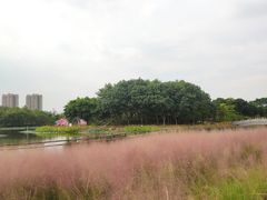 -映月湖公园