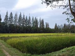 -前小桔亲子创意农场·草莓采摘·露营烧烤