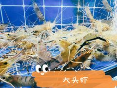 -星椰叻沙·椰浆鲜虾面(江南西店)