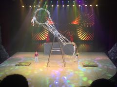 -重庆国际马戏城