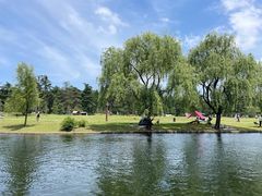 -上海共青森林公园