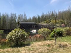 -黄海国家森林公园