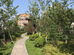 -首都医科大学附属北京潞河医院