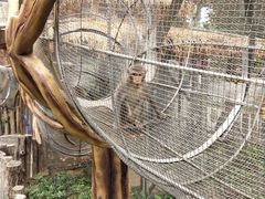 -辛玛王国游乐园