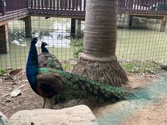 -揭东万竹园旅游景区