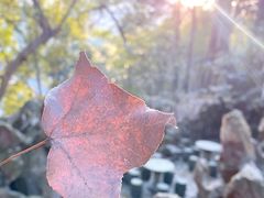 -杭州黄龙洞