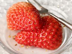 -D27³閩南料理·海钓鱼鲜