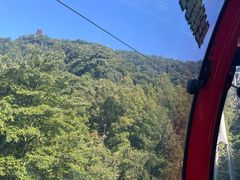 -青城山
