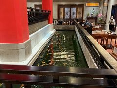-龙悦湾酒家·八阵鱼生·渔人码头店