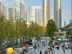 -合景·悠方(成都店)