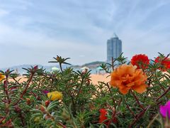 -青岛第二海水浴场