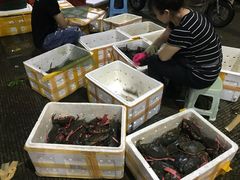 -海峡水产品交易中心(海鲜交易区)
