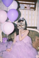 -WAVE SODA摄影工作室