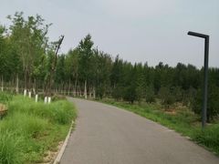 -东郊湿地公园