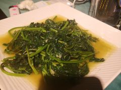 蒜炒菠菜-C31地窖餐厅(黑龙江北路店)