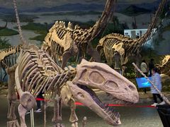 -自贡恐龙博物馆