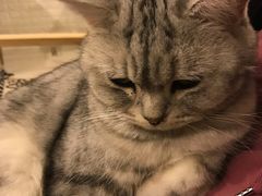 -平行世界·猫咖(首经贸店)