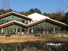 -西湖风景区-江洋畈生态公园