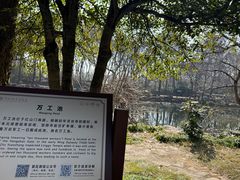 -灵谷景区