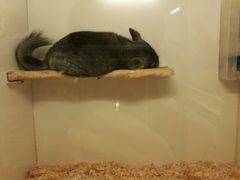 -龙猫仔乐园(惠福东路店)