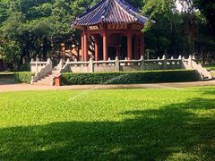 -中山大学学者灵芝(园南路店)