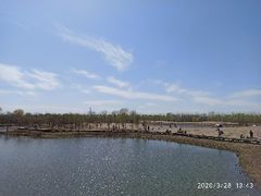 -东郊湿地公园