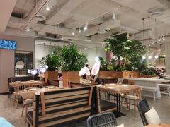 大堂-必胜客(百联又一城店)