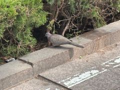 -燕儿岛山公园