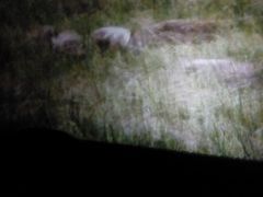 android_upload_pic-星美国际影城(迪信通店)