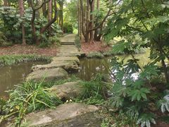 -上海滨江森林公园