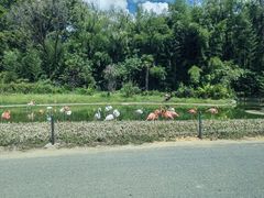 -杭州野生动物世界