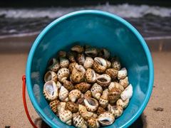 -青岛银沙滩温德姆至尊酒店