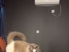 -悠米私人影院(街道口店)