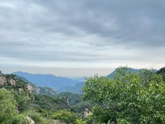 -大岭沟猕猴桃谷风景区