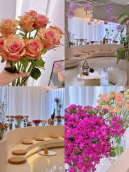 -韩芙莱芳疗spa健康管理