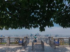 -南山植物园