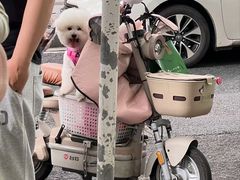 -袁大头包子(光华路店)