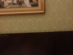 android_upload_pic-维也纳酒店(深圳机场店)