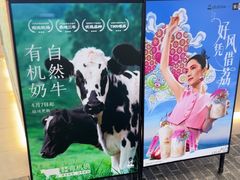 -LELECHA乐乐茶(王府井喜悦店)