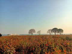 -阳澄湖半岛旅游度假区