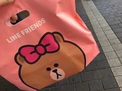 -line friends(明洞旗舰店)
