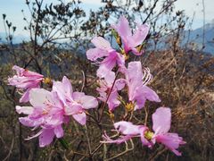 -岳西天峡风景区