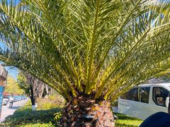 -丽江三义国际机场