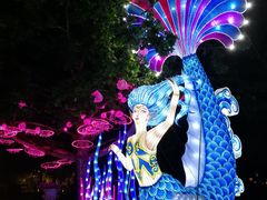 -北京世界公园