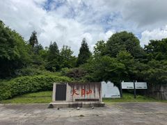 -天目山大树王景区